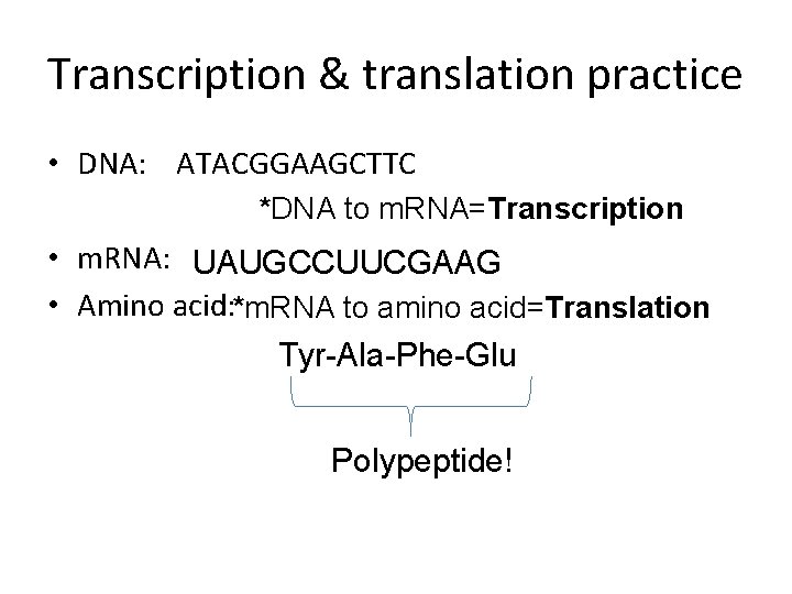 Transcription & translation practice • DNA: ATACGGAAGCTTC *DNA to m. RNA=Transcription • m. RNA: