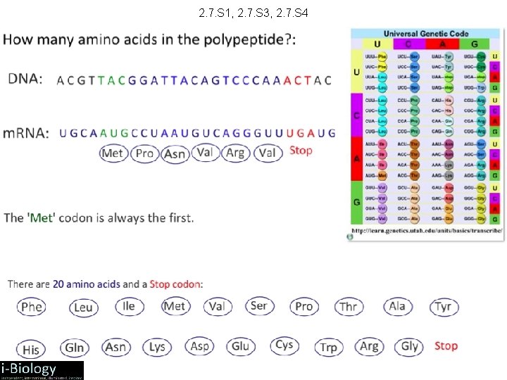 2. 7. S 1, 2. 7. S 3, 2. 7. S 4 