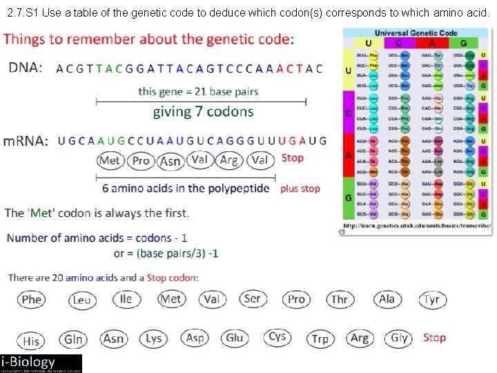 2. 7. S 1 Use a table of the genetic code to deduce which