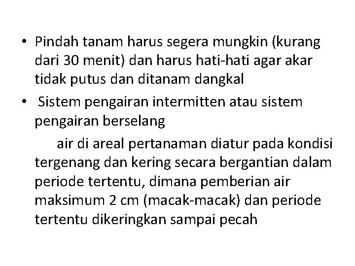  • Pindah tanam harus segera mungkin (kurang dari 30 menit) dan harus hati-hati