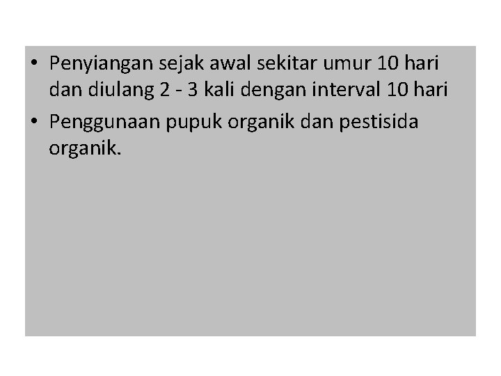  • Penyiangan sejak awal sekitar umur 10 hari dan diulang 2 - 3