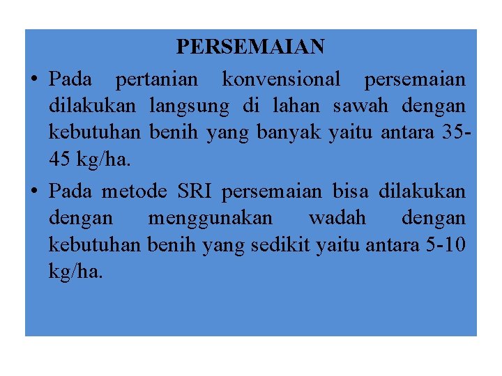 PERSEMAIAN • Pada pertanian konvensional persemaian dilakukan langsung di lahan sawah dengan kebutuhan benih