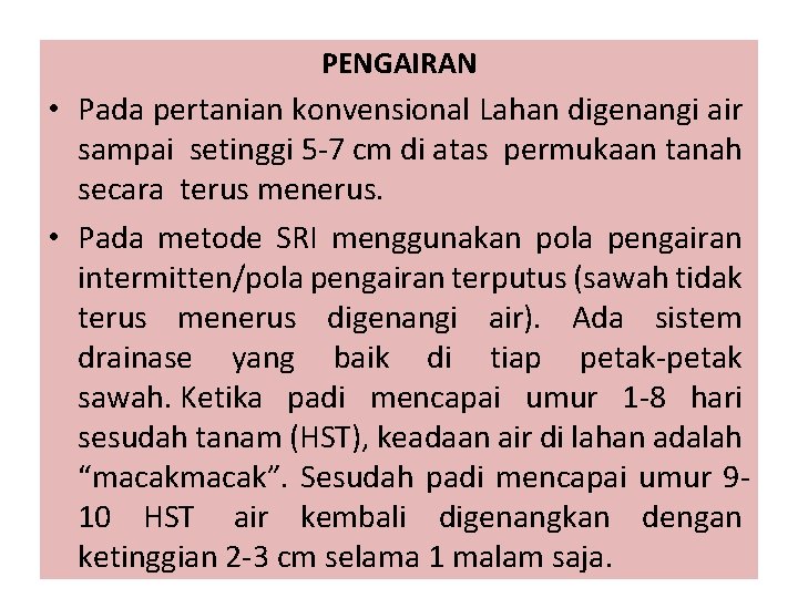 PENGAIRAN • Pada pertanian konvensional Lahan digenangi air sampai setinggi 5 -7 cm di