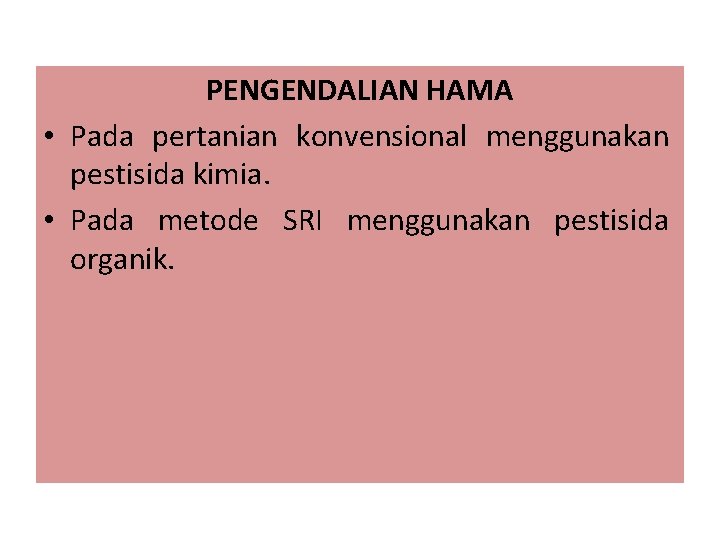 PENGENDALIAN HAMA • Pada pertanian konvensional menggunakan pestisida kimia. • Pada metode SRI menggunakan