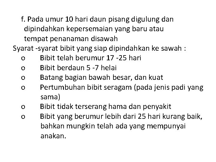 f. Pada umur 10 hari daun pisang digulung dan dipindahkan kepersemaian yang baru atau