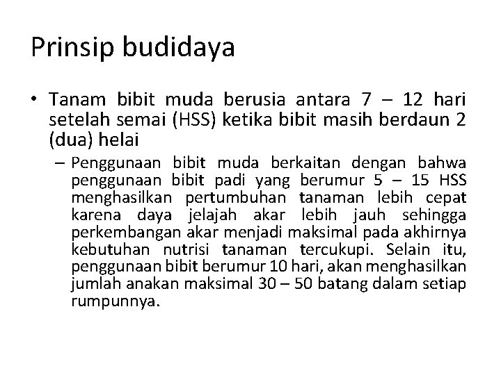 Prinsip budidaya • Tanam bibit muda berusia antara 7 – 12 hari setelah semai