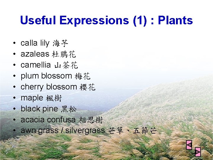 Useful Expressions (1) : Plants • • • calla lily 海芋 azaleas 杜鵑花 camellia