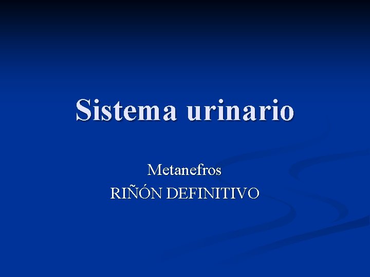 Sistema urinario Metanefros RIÑÓN DEFINITIVO 