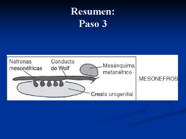 Resumen: Paso 3 