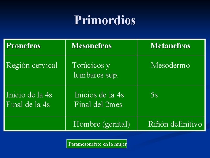 Primordios Pronefros Mesonefros Metanefros Región cervical Torácicos y lumbares sup. Mesodermo Inicio de la