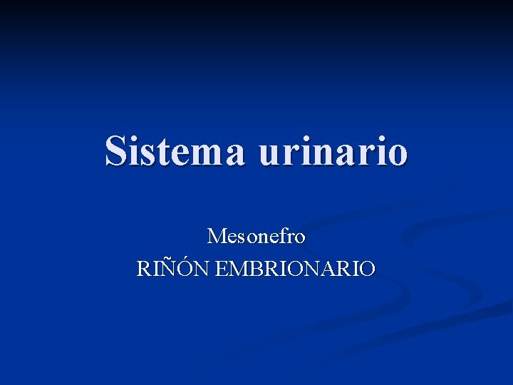 Sistema urinario Mesonefro RIÑÓN EMBRIONARIO 