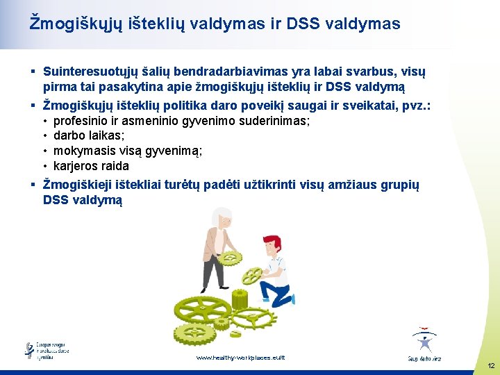 Žmogiškųjų išteklių valdymas ir DSS valdymas § Suinteresuotųjų šalių bendradarbiavimas yra labai svarbus, visų