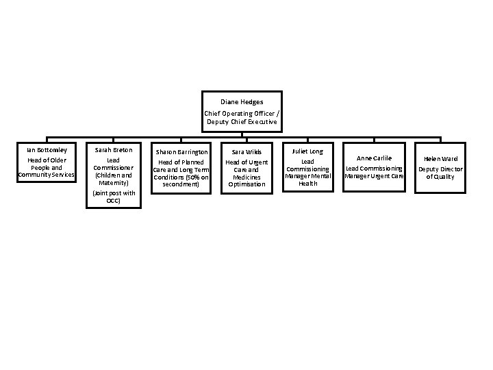 Diane Hedges Chief Operating Officer / Deputy Chief Executive Ian Bottomley Sarah Breton Sara