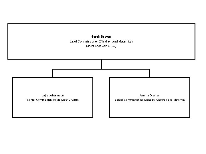 Sarah Breton Lead Commissioner (Children and Maternity) (Joint post with OCC) Lajla Johannson Senior