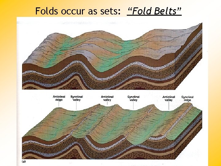 Folds occur as sets: “Fold Belts” 