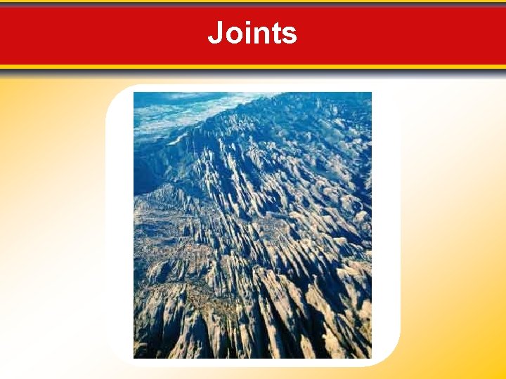 Joints 