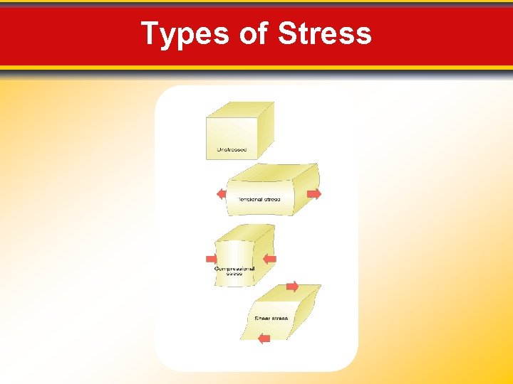 Types of Stress 