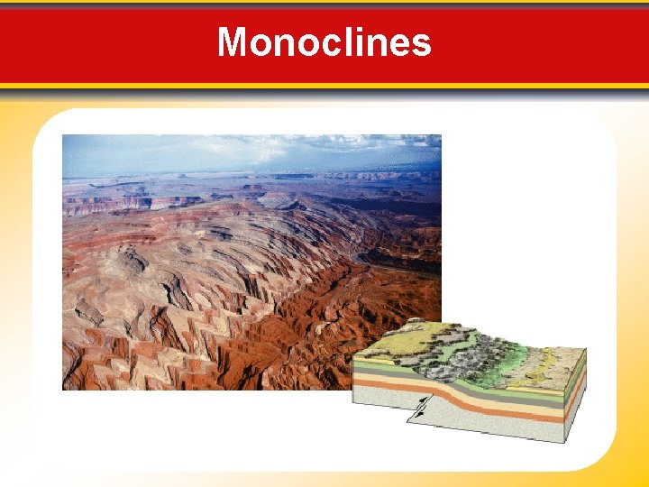 Monoclines 