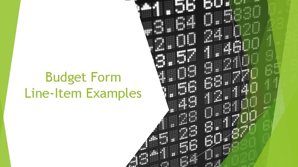 Budget Form Line-Item Examples 