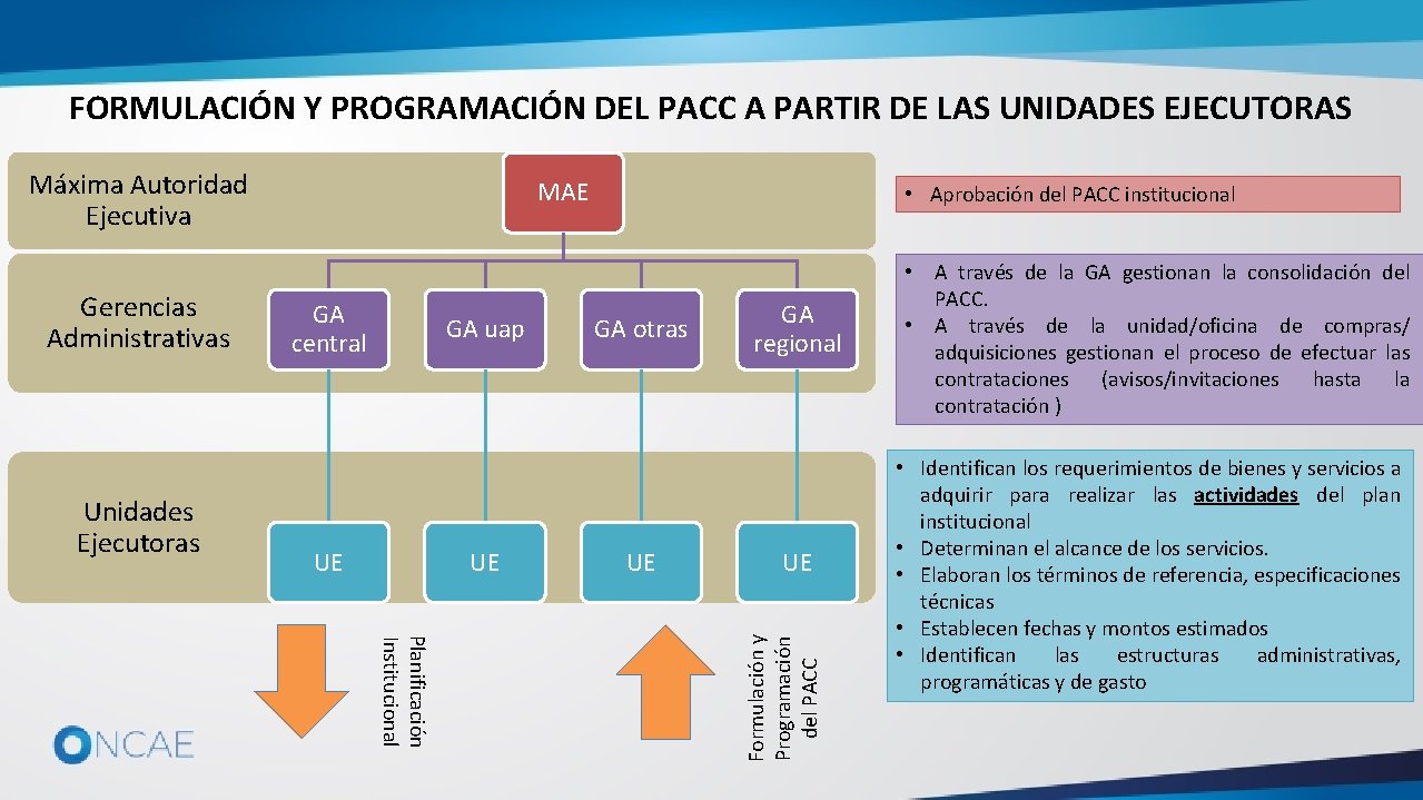 FORMULACIÓN Y PROGRAMACIÓN DEL PACC A PARTIR DE LAS UNIDADES EJECUTORAS Máxima Autoridad Ejecutiva