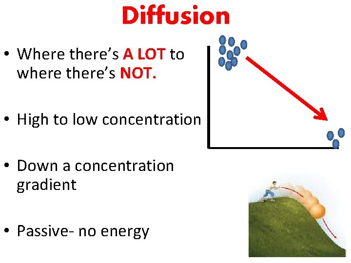 Diffusion • Where there’s A LOT to where there’s NOT. • High to low