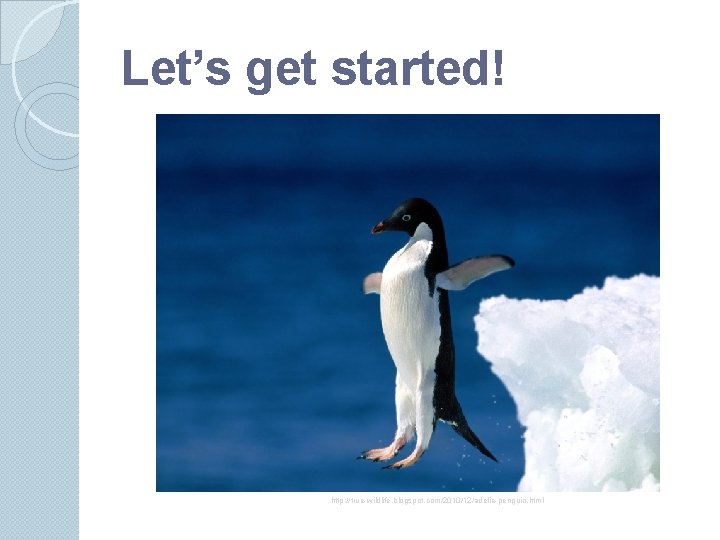 Let’s get started! http: //true-wildlife. blogspot. com/2010/12/adelie-penguin. html Let’s get started! http: //true-wildlife. blogspot. com/2010/12/adelie-penguin. html