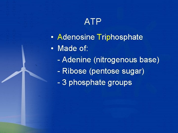 ATP • Adenosine Triphosphate • Made of: - Adenine (nitrogenous base) - Ribose (pentose