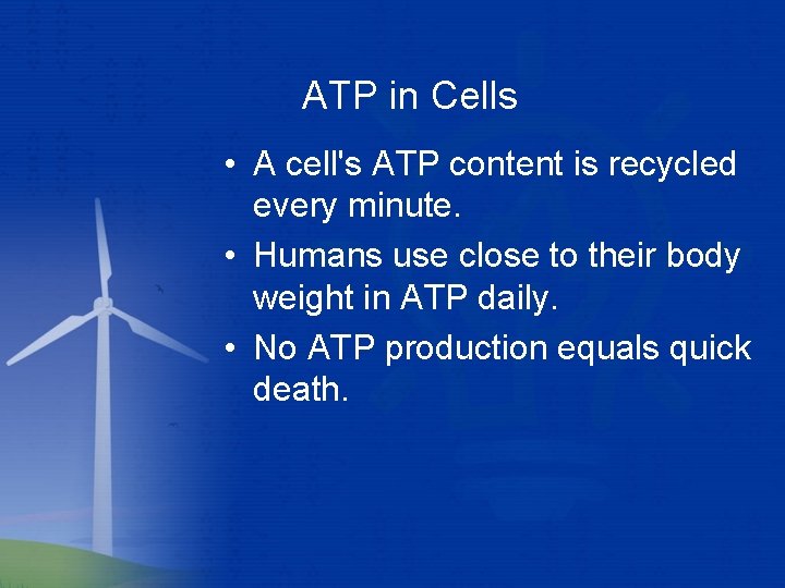 ATP in Cells • A cell's ATP content is recycled every minute. • Humans