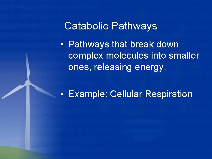 Catabolic Pathways • Pathways that break down complex molecules into smaller ones, releasing energy.