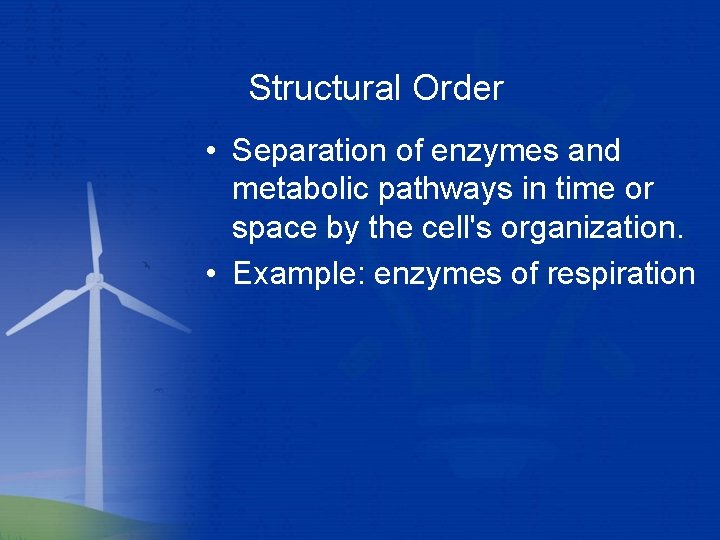 Structural Order • Separation of enzymes and metabolic pathways in time or space by