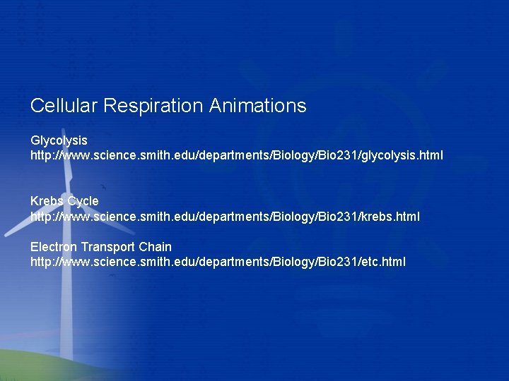 Cellular Respiration Animations Glycolysis http: //www. science. smith. edu/departments/Biology/Bio 231/glycolysis. html Krebs Cycle http: