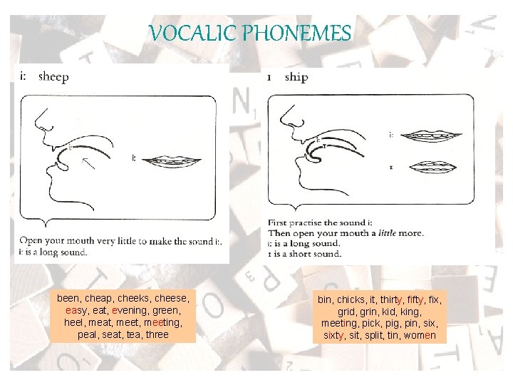 VOCALIC PHONEMES been, cheap, cheeks, cheese, easy, eat, evening, green, heel, meat, meeting, peal,