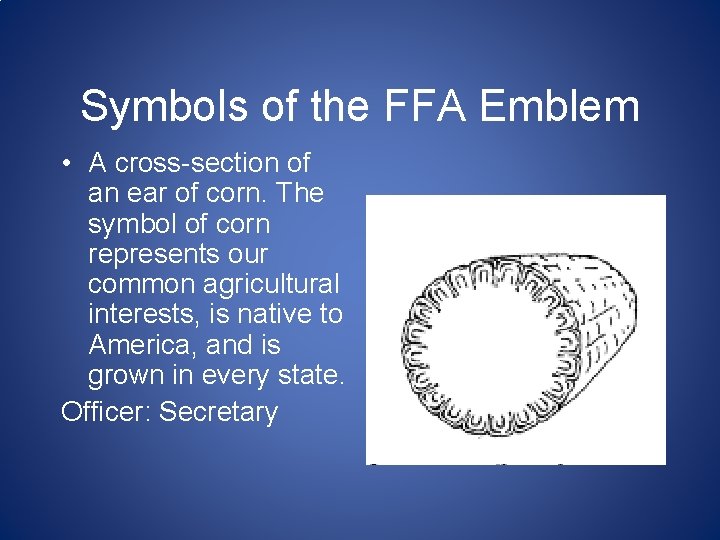 Symbols of the FFA Emblem • A cross-section of an ear of corn. The