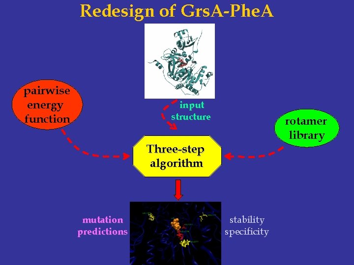 Redesign of Grs. A-Phe. A pairwise energy function input structure rotamer library Three-step algorithm