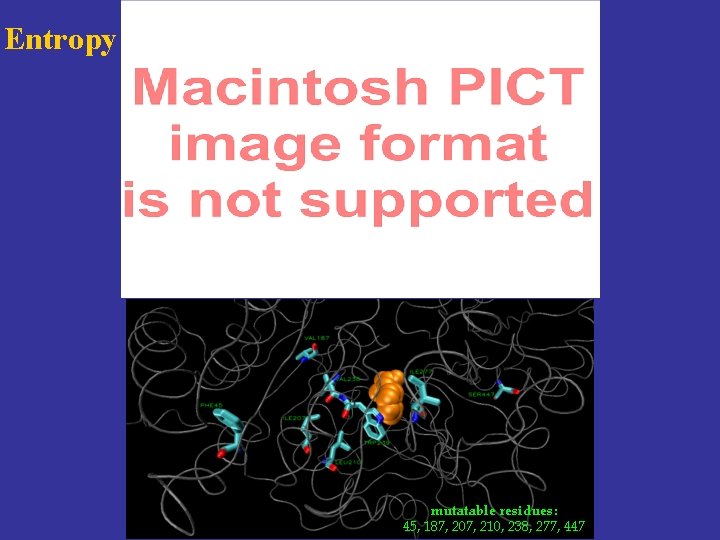 Entropy mutatable residues: 45, 187, 207, 210, 238, 277, 447 