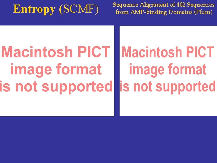 Entropy (SCMF) Sequence Alignment of 402 Sequences from AMP-binding Domains (Pfam) 