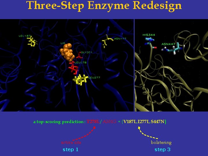 Three-Step Enzyme Redesign a top-scoring prediction : T 278 L/A 301 G + {V