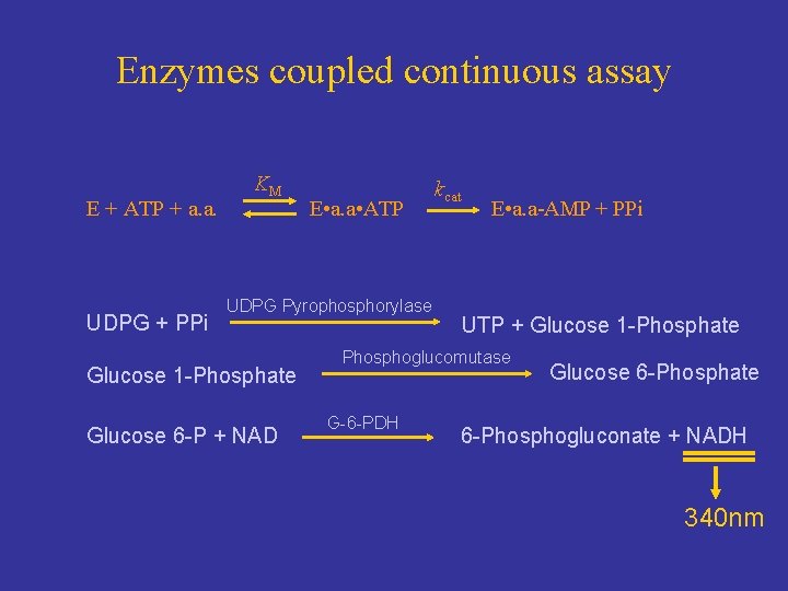 Enzymes coupled continuous assay E + ATP + a. a. UDPG + PPi KM