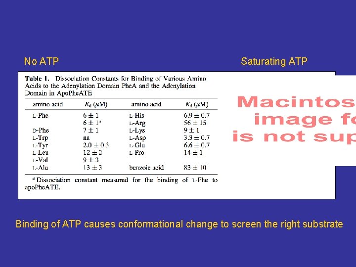 No ATP Saturating ATP Binding of ATP causes conformational change to screen the right