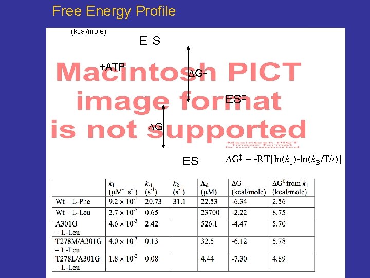 Free Energy Profile (kcal/mole) E ‡S +ATP ∆G‡ ES‡ ∆G ES ∆G‡ = -RT[ln(k