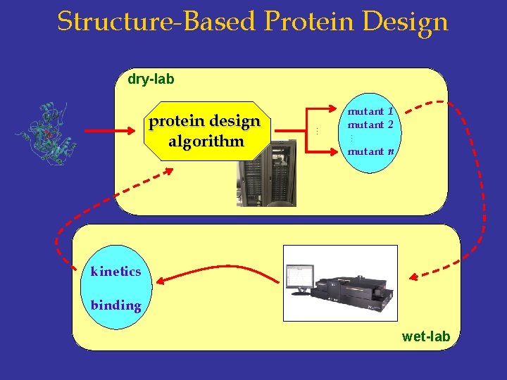 Structure-Based Protein Design dry-lab … … protein design algorithm mutant 1 mutant 2 mutant