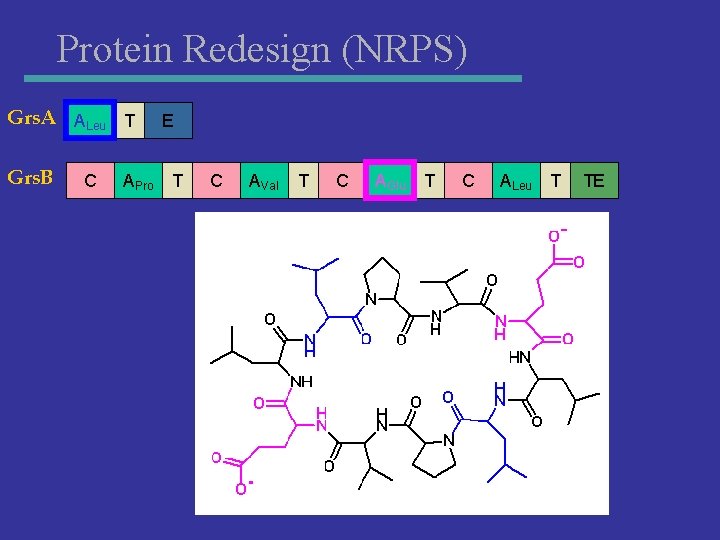 Protein Redesign (NRPS) Grs. A ALeu T Grs. B C APro E T C