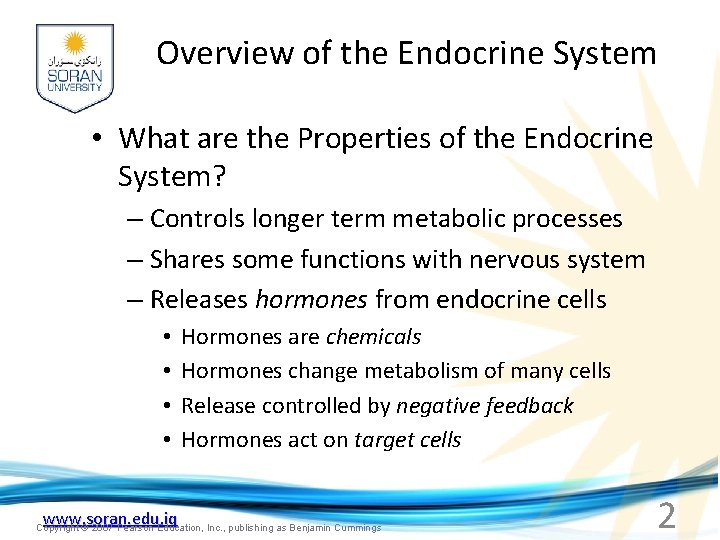 Overview of the Endocrine System • What are the Properties of the Endocrine System?