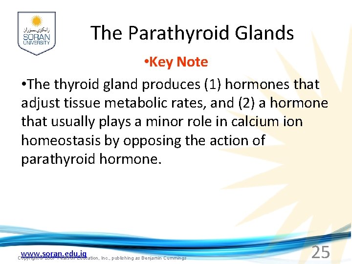 The Parathyroid Glands • Key Note • The thyroid gland produces (1) hormones that