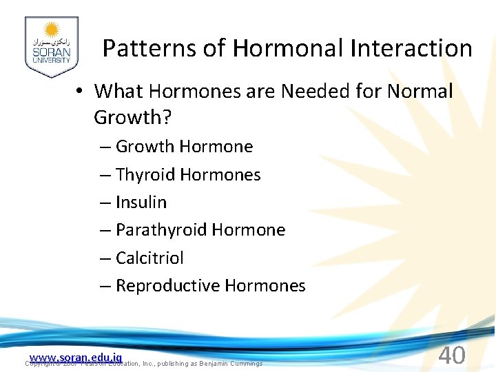 Patterns of Hormonal Interaction • What Hormones are Needed for Normal Growth? – Growth