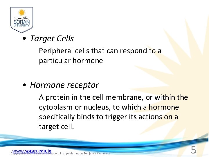  • Target Cells Peripheral cells that can respond to a particular hormone •
