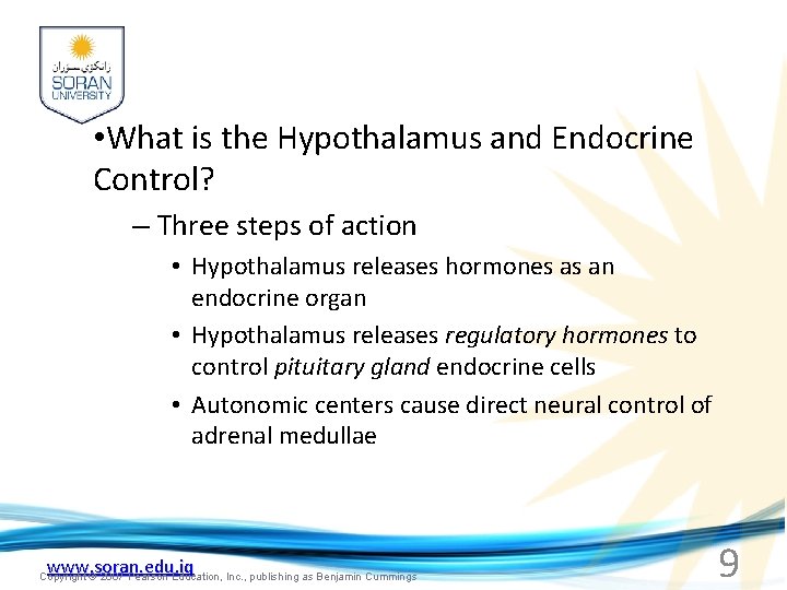  • What is the Hypothalamus and Endocrine Control? – Three steps of action