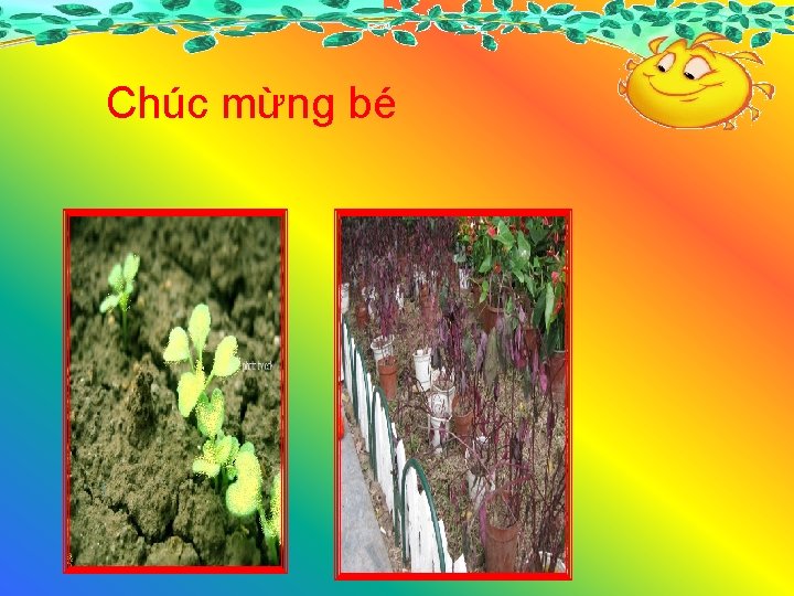 Chúc mừng bé 