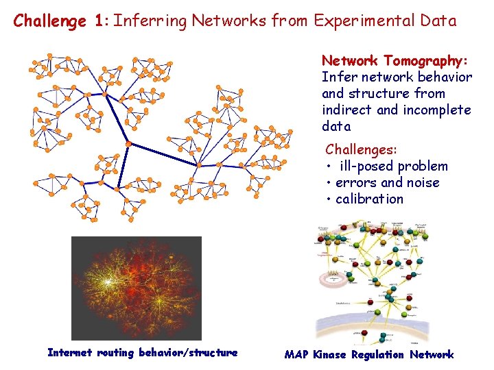 Challenge 1: Inferring Networks from Experimental Data Network Tomography: Infer network behavior and structure