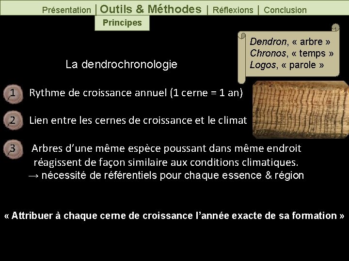 Présentation │Outils & Méthodes │ Réflexions │ Conclusion Principes La dendrochronologie Dendron, « arbre